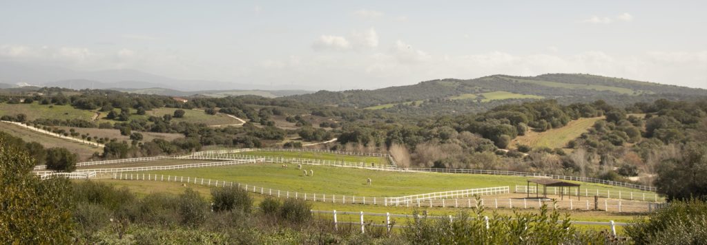 alma-de-la-janda-alqueria-6