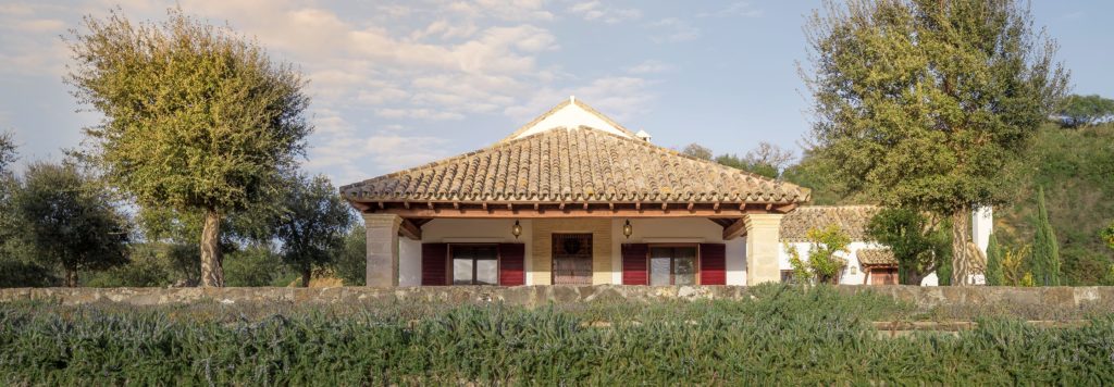 alma-de-la-janda-atalaya-1