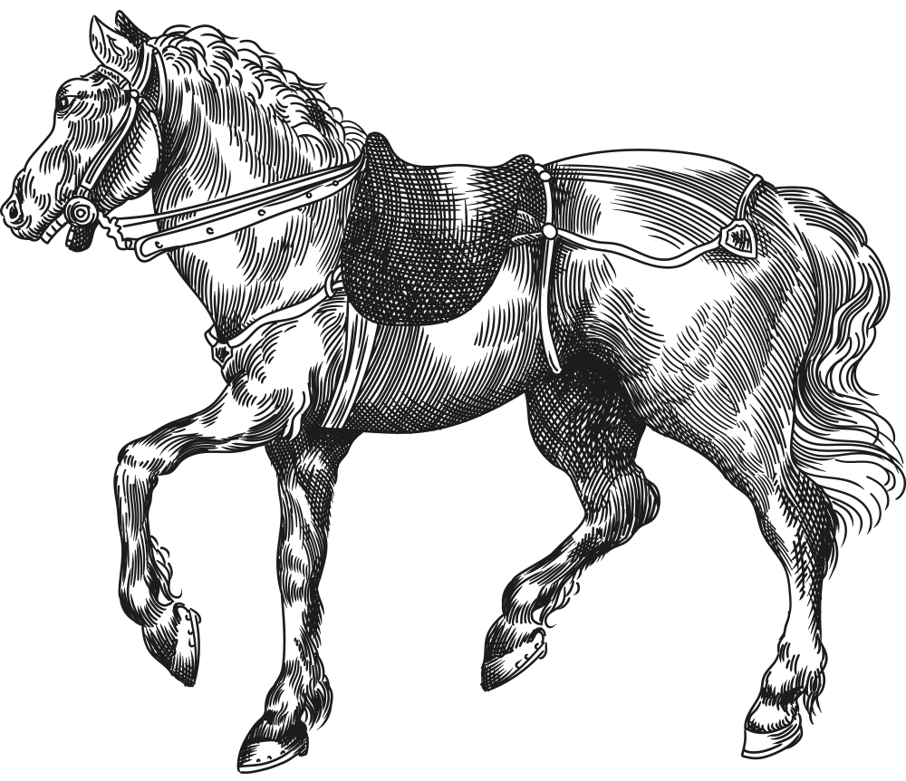 horse-alma-de-la-janda